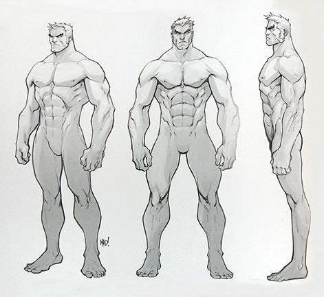 Anatomy Sketches Male Body Drawing Character Turnaround