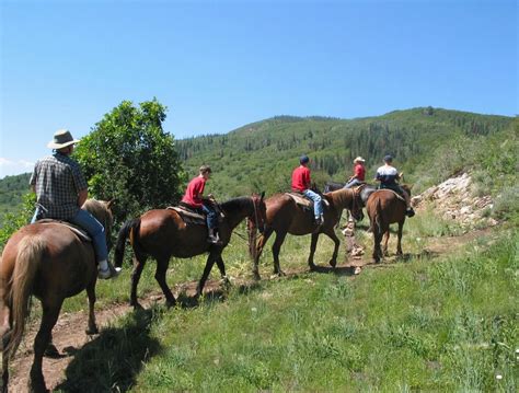 Walden Creek Stables Sevierville Horseback Riding Horseback Riding