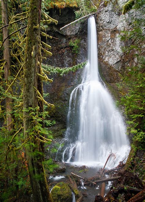 Marymere Falls Clallam County Washington Northwest Waterfall Survey