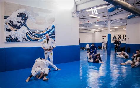 Before you format numbers as percentages, make sure that the numbers shown on the chart have been calculated as percentages in the worksheet, or. About | Axis Brazilian Jiu Jitsu