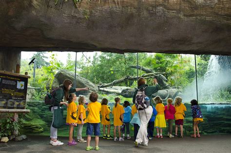 Zoo Summer Camps Offer Wild Times