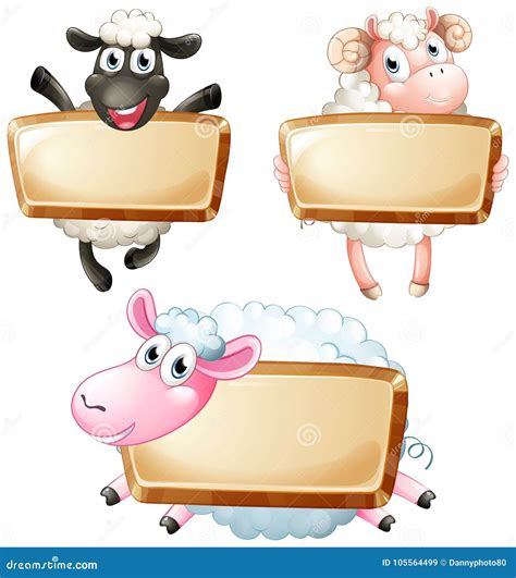 Three Blank Signs With Cute Sheeps Stock Vector Illustration Of