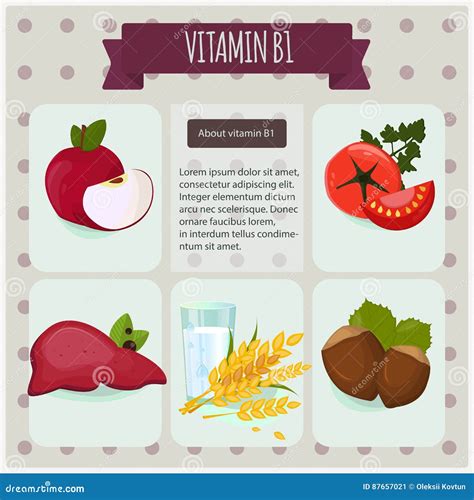 Vitamina B En Fondo Negro Ilustraci N Eps Del Vector Fruta Y