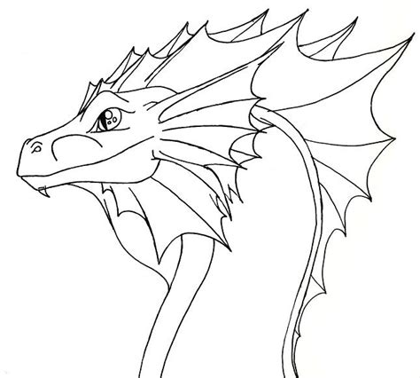Dragon Head By Dracofeathers On Deviantart