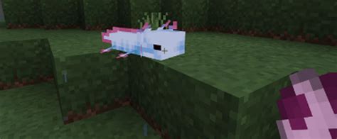 Minecraft Top 5 Skins For Axolotls