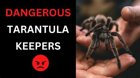 The Two Most Dangerous Tarantula Keepers Youtube