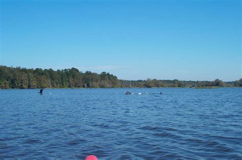 Lake Talquin