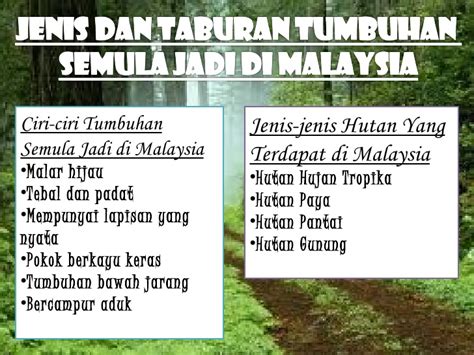 Berikut 4 fakta yang perlu diketahui tentang babi hutan yang dilansir dari media lokal malaysia the star, kamis (5/9), warga di pulau besar melihat babi hutan berkeliaran di daerah pesisir pada malam hari. Geografi persentation2