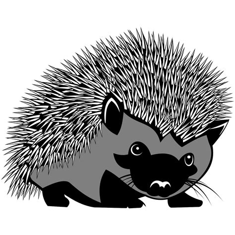 Collection Of Hedgehog Png Black And White Pluspng
