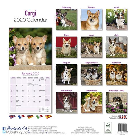 Corgi Calendar 2020 Pet Prints Inc