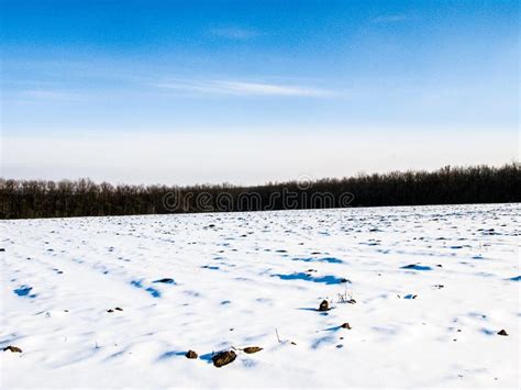 Winter Field And Forest Stock Image Image Of Horizon 135252003