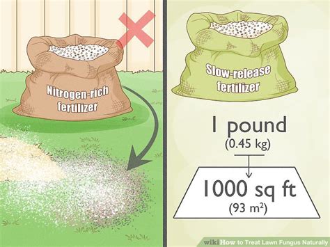 11 Simple Ways To Treat Lawn Fungus Naturally Wikihow