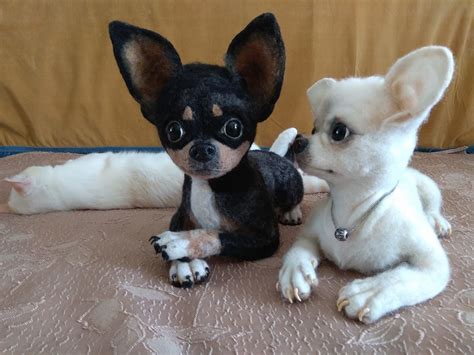 Too Cute Chihuahua Puppies Cute Baby Animals Cute Chihuahua
