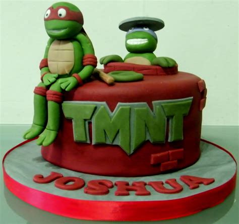 Ninja Turtle Cakes Decoration Ideas Little Birthday Cakes