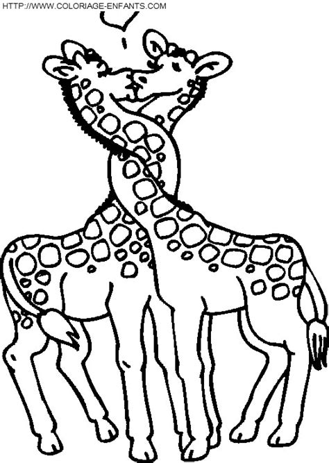 Coloriage girafes déjà 1924 fois imprimés