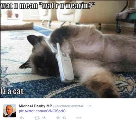 Labor Mp Michael Danby Posts Pictures Of Cats On Twitter