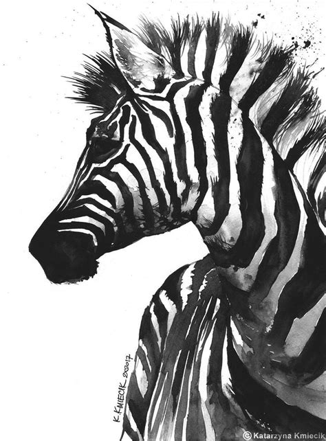 Zebra Head Drawing At Explore Collection Of Zebra