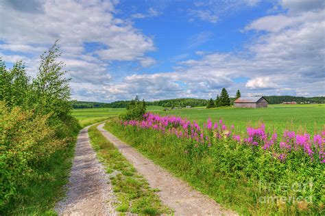 Countryside In Finland Photograph By Veikko Suikkanen Fine Art America