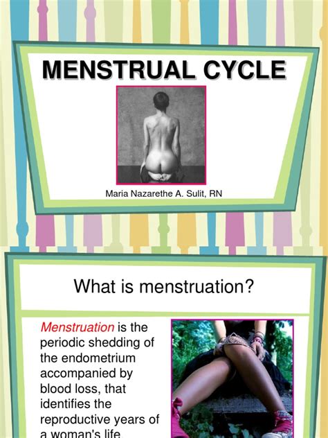 Menstrual Cycle Pdf Menstrual Cycle Sexual Anatomy