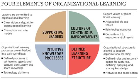 The Challenge Of Organizational Learning Bridgespan