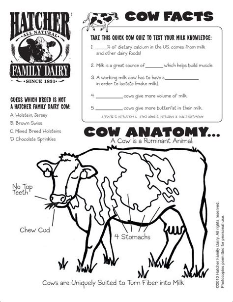 Suboxone Cows Worksheet