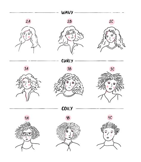 Top 48 Image Curly Hair Types Chart Vn