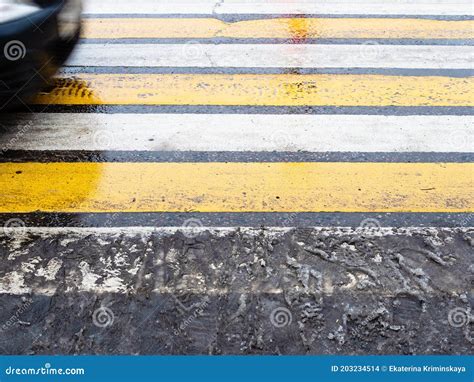 Wet Yellow And White Striped Pedestrian Crossing Stock Photo Image Of