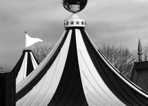 The Circus Arrives Without Warning A Bookmarked Life