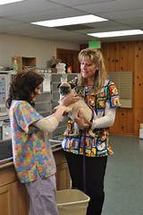 Gateway Animal Hospital Anderson Ca Images