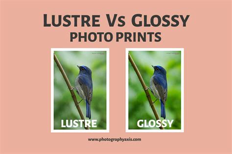 Lustre Vs Glossy Which Is Best For Photo Prints Photographyaxis