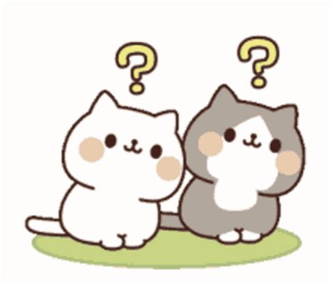 Two Cute Animated Cats Question Mark GIFDB