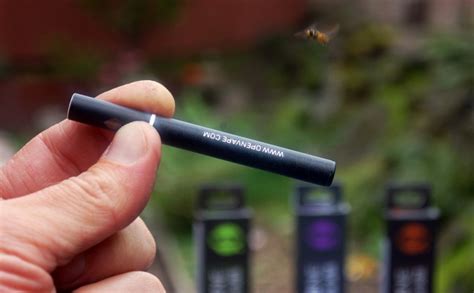 What temperature to vape weed at. Is a disposable vape pen the perfect solution for pot tourism?