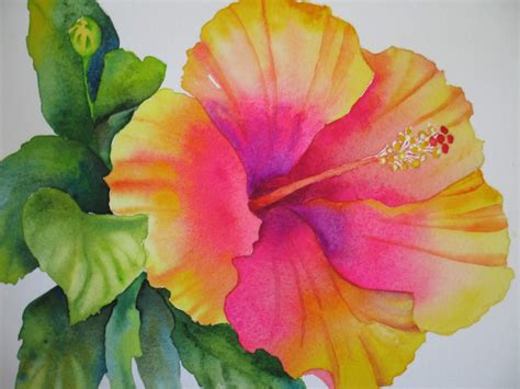 Nels Everyday Painting Watercolor Hibiscus Sold