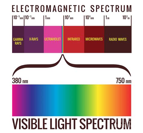 Visible Light Spectrum Digital Art By Digitalpixel