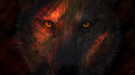 Wild Wolf Eyes Hd Animals 4k Wallpapers Images Backgrounds Photos