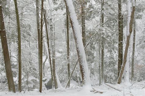 Connecticut Nature And Landscape Photography Blizzard Landscape
