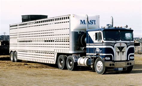 Hauling Cattle In Style Truck Drivers Use Deliverymark Trucks Farm