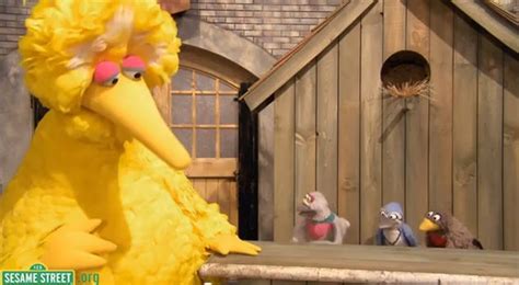 Sesame Street Turns X Rated After Getting Hacked Madeformums