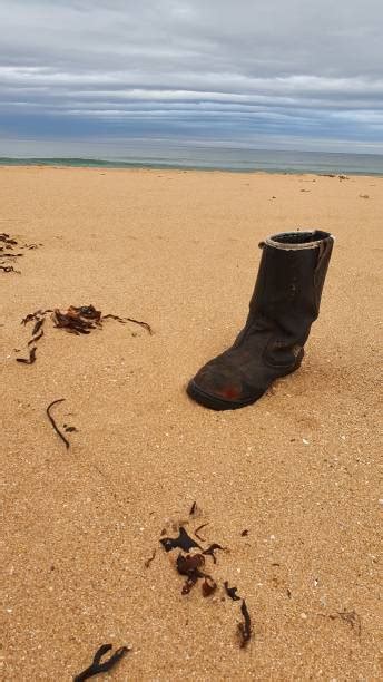 Abandoned Wellies Stock Photos Pictures And Royalty Free Images Istock