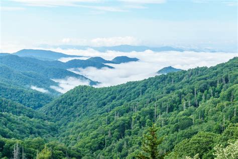 Great Smoky Mountains National Park Le Blog Usa De Mathilde