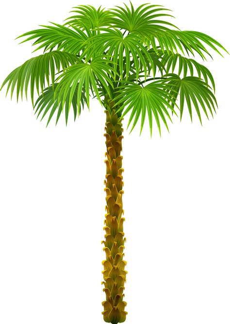 Free Palm Tree Download Free Palm Tree Png Images Free Cliparts On
