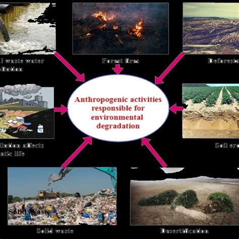 Causes Of Environmental Degradation Download Scientific Diagram
