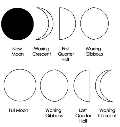 Moon Phases Coloring Page Coloring Pages