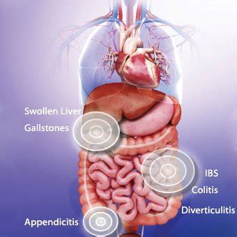 Pain can arise from the colon, urinary system, reproductive organs, vascular system and or stomach wall muscles. Dolor abdominal definición y hechos - Dr. Félix Ventura