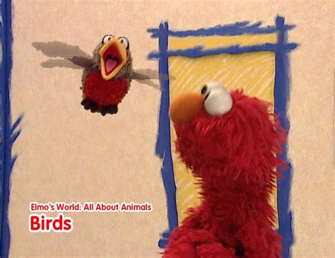 Sesame Street Elmos World All About Animals Apple Tv Ca