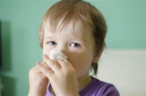 Treatments For Nasal Congestion In Toddlers Essential Oils For Babies