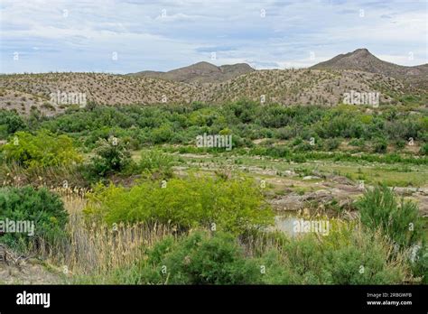 Lush Green Rio Grande River Basin With Arid Hills Behind In Big Bend