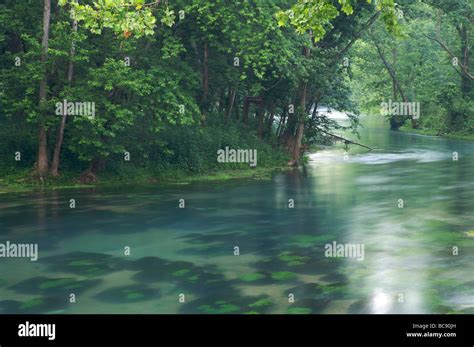 River Flowing Downstream From Underground Spring In Early Morning With
