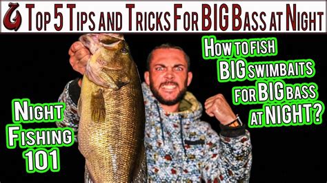 Top 5 Night Fishing Tips And Tricks For Bass How To Catch Bass On Big