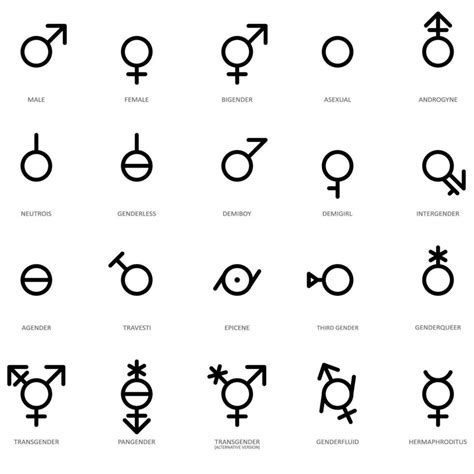 Set Of Gender Icons Isolated On White Background Sexual Orientation